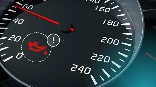 Check Engine Delovi